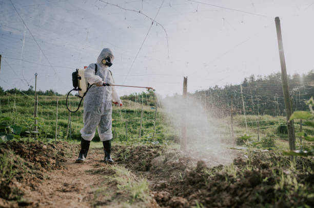 Best Pest Control Cost  in Taylor Creek, OH