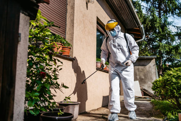 Best Affordable Pest Control Services  in Taylor Creek, OH