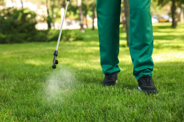 Best Commercial Pest Control Services  in Taylor Creek, OH