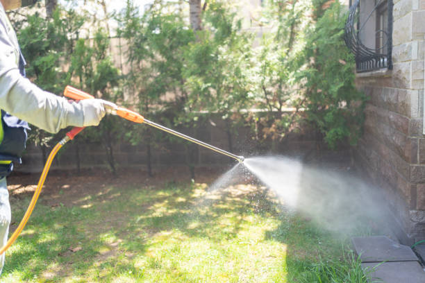 Best Pest Removal Services  in Taylor Creek, OH