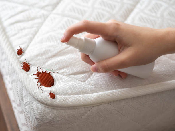 Pest Control Cost in Taylor Creek, OH