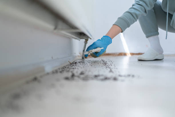 Best Commercial Pest Control Services  in Taylor Creek, OH