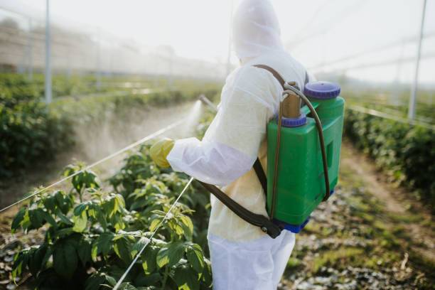 Best Wildlife Control Services  in Taylor Creek, OH
